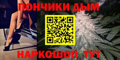 прущие грибы Апшеронск