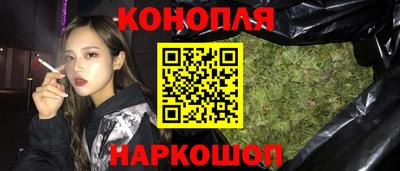 прущие грибы Апшеронск