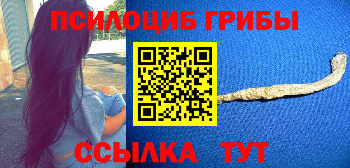 Псилоцибиновые грибы прущие грибы Выборг