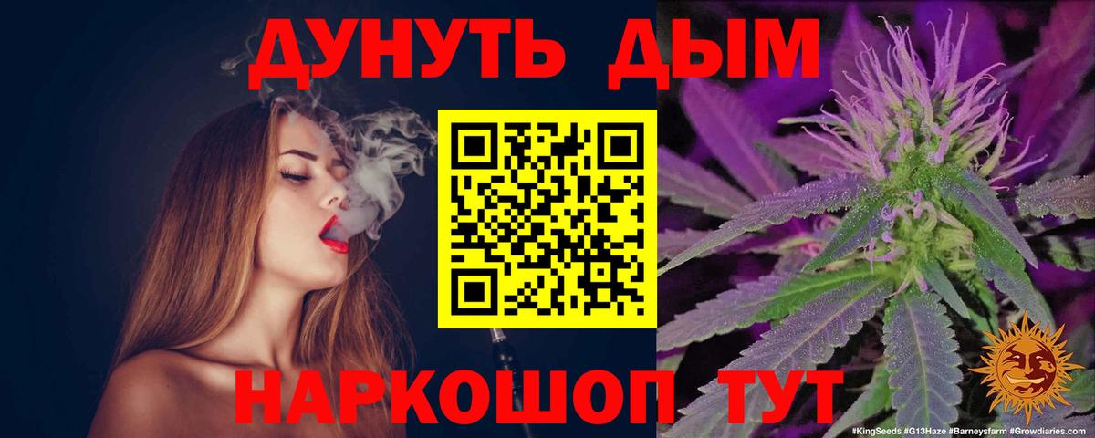 Канабис Amnesia  Вход с VPN  Выборг  Конопля сатива  Каннабис сатива 